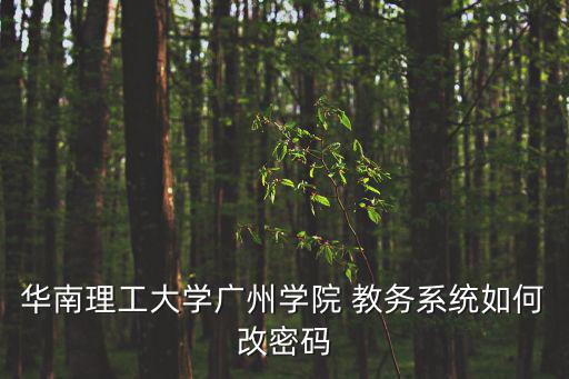 華南理工大學(xué)廣州學(xué)院 教務(wù)系統(tǒng)如何改密碼