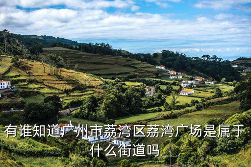 有誰知道廣州市荔灣區荔灣廣場是屬于什么街道嗎
