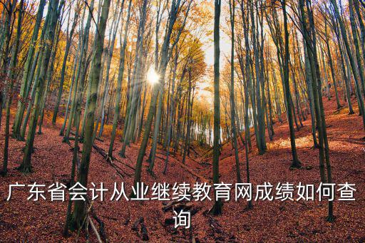 廣東省會計從業繼續教育網成績如何查詢