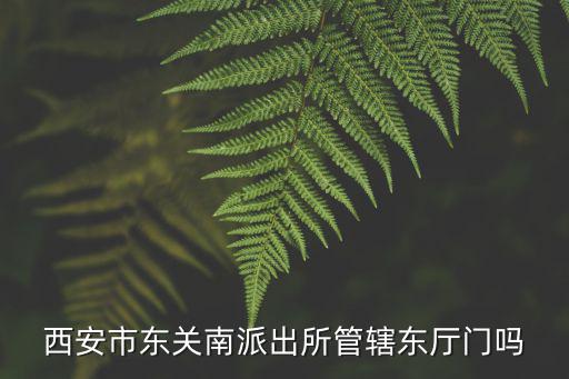 西安市東關(guān)南派出所管轄東廳門嗎