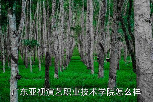 廣東亞視演藝職業技術學院怎么樣