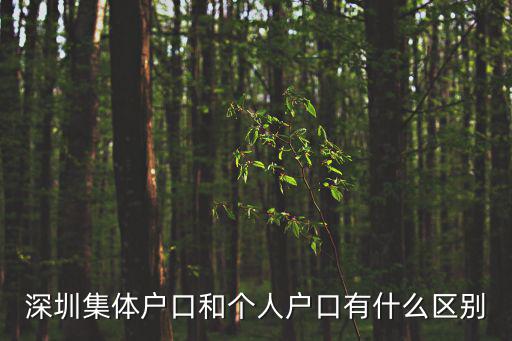 深圳集體戶口，深圳集體戶口是什么意思