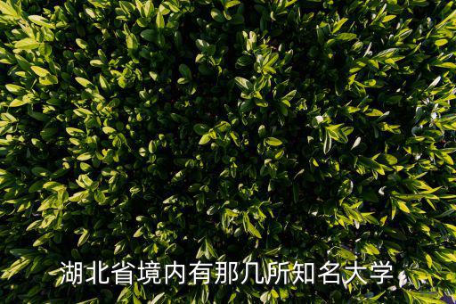 湖北省境內有那幾所知名大學