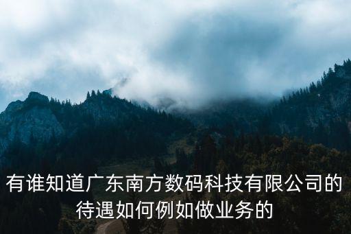 有誰知道廣東南方數(shù)碼科技有限公司的待遇如何例如做業(yè)務(wù)的