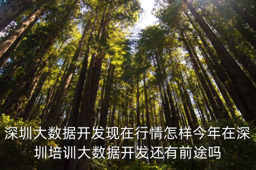 深圳大數(shù)據(jù)開發(fā)現(xiàn)在行情怎樣今年在深圳培訓(xùn)大數(shù)據(jù)開發(fā)還有前途嗎