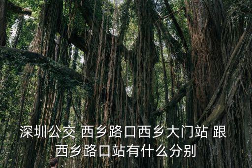 深圳公交 西鄉路口西鄉大門站 跟 西鄉路口站有什么分別