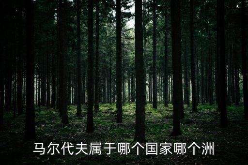 馬爾代夫?qū)儆谀膫€國家，馬爾代夫?qū)儆谀膫€國家