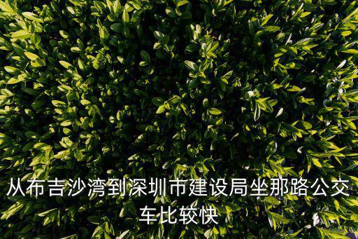 從布吉沙灣到深圳市建設(shè)局坐那路公交車比較快