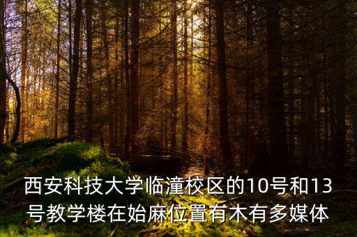 西安科技大學(xué)臨潼校區(qū)的10號和13號教學(xué)樓在始麻位置有木有多媒體