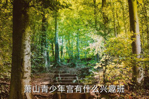 蕭山青少年宮有什么興趣班