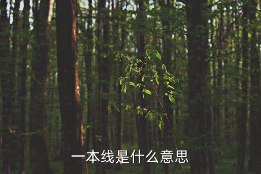 一本線是什么意思