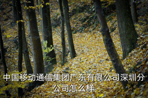 中國移動通信集團廣東有限公司深圳分公司怎么樣