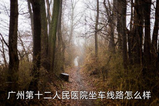 廣州第十二人民醫院坐車線路怎么樣