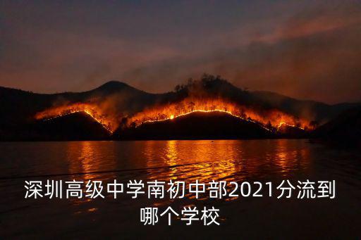 深圳高級中學南初中部2021分流到哪個學校