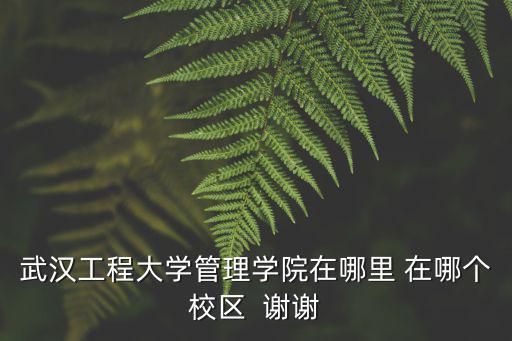 武漢工程大學管理學院在哪里 在哪個校區  謝謝