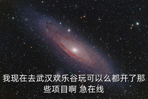 我現(xiàn)在去武漢歡樂谷玩可以么都開了那些項目啊 急在線