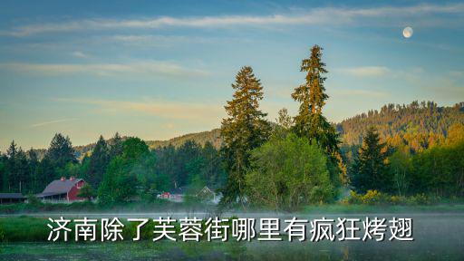 濟南除了芙蓉街哪里有瘋狂烤翅