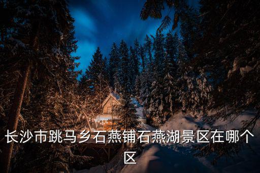 長沙跳馬，長沙跳馬鎮的新線路公交車開通沒有