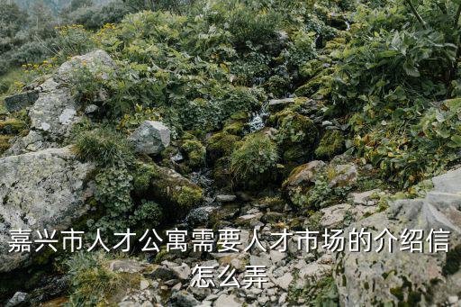 嘉興市人才公寓需要人才市場的介紹信怎么弄