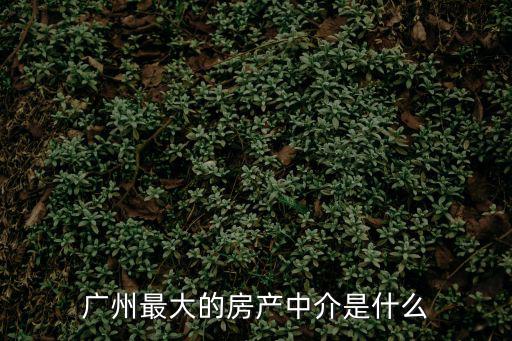 廣州最大的房產中介是什么