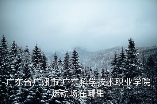 廣東省廣州市 廣東科學(xué)技術(shù)職業(yè)學(xué)院運(yùn)動(dòng)場(chǎng)在哪里
