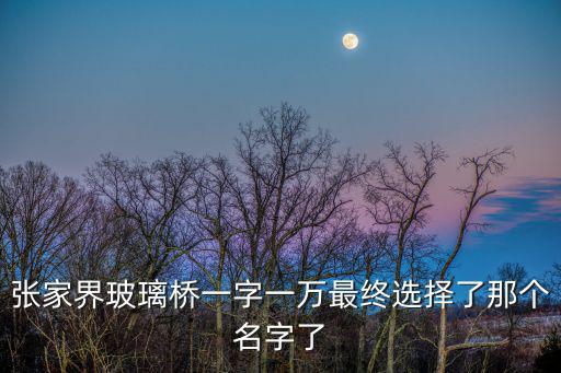 張家界玻璃橋一字一萬最終選擇了那個名字了