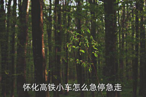 懷化高鐵小車怎么急停急走