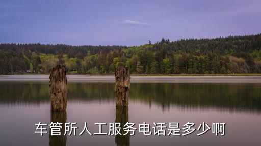 車管所人工服務(wù)電話是多少啊