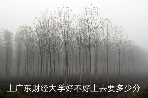 廣東財經大學，上廣東財經大學好不好上去要多少分