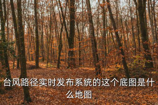 臺風路徑實時發(fā)布系統(tǒng)的這個底圖是什么地圖
