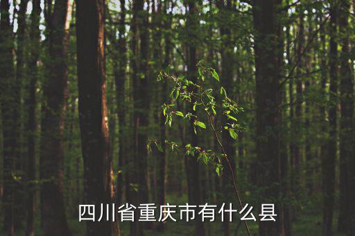 四川省重慶市，四川省重慶市有什么縣