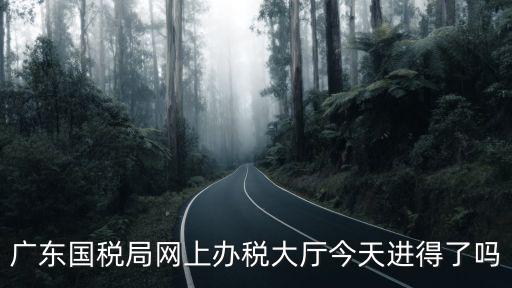 廣東國稅局網上辦稅大廳今天進得了嗎