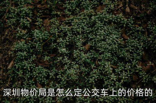 深圳物價局是怎么定公交車上的價格的