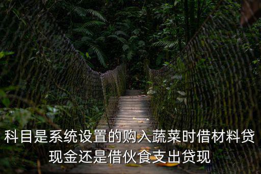 蔬菜采購平臺，科目是系統設置的購入蔬菜時借材料貸現金還是借伙食支出貸現