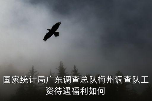 國(guó)家統(tǒng)計(jì)局廣東調(diào)查總隊(duì)梅州調(diào)查隊(duì)工資待遇福利如何