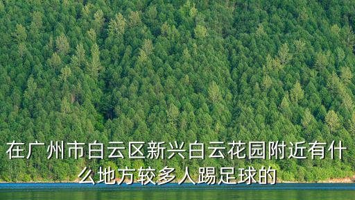在廣州市白云區新興白云花園附近有什么地方較多人踢足球的