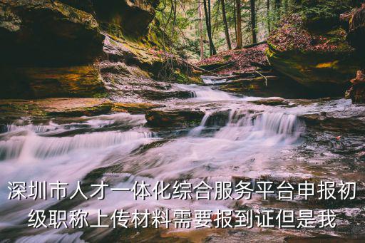 深圳市人才一體化綜合服務(wù)平臺(tái)申報(bào)初級(jí)職稱(chēng)上傳材料需要報(bào)到證但是我