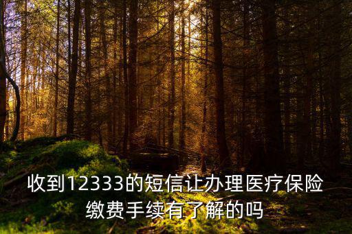 收到12333的短信讓辦理醫療保險繳費手續有了解的嗎
