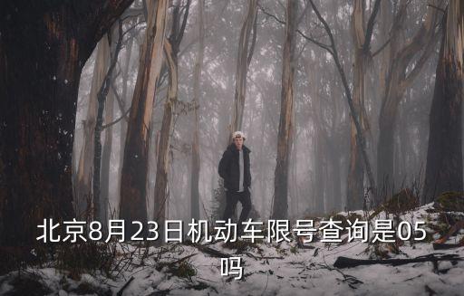 北京8月23日機動車限號查詢是05嗎