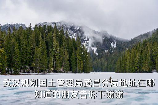 武漢規(guī)劃國土管理局武昌分局地址在哪知道的朋友告訴下謝謝