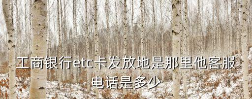 工商銀行etc卡發放地是那里他客服電話是多少