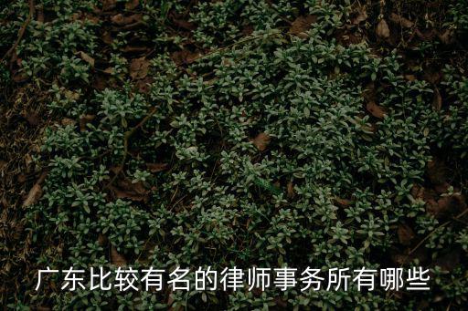 廣東比較有名的律師事務所有哪些