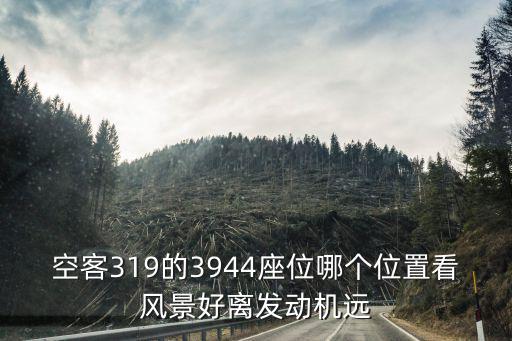 空客319的3944座位哪個位置看風景好離發動機遠