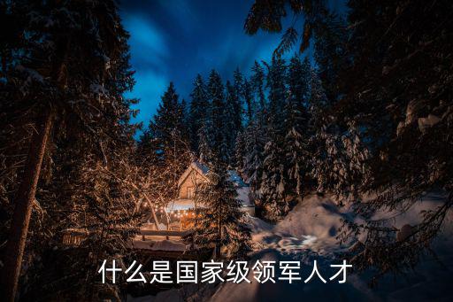 什么是國家級領軍人才