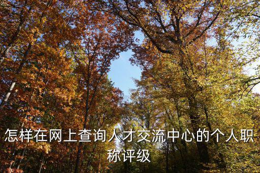 怎樣在網(wǎng)上查詢?nèi)瞬沤涣髦行牡膫€(gè)人職稱評(píng)級(jí)