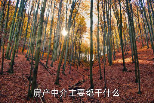 房產中介主要都干什么