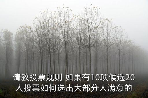 請教投票規則 如果有10項候選20人投票如何選出大部分人滿意的