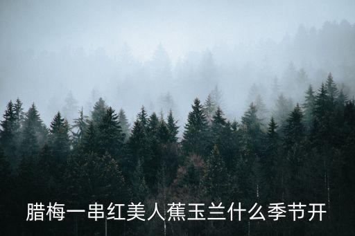 臘梅一串紅美人蕉玉蘭什么季節開