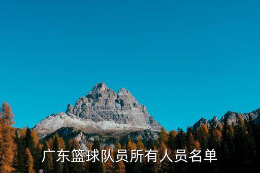 廣東籃球隊員所有人員名單