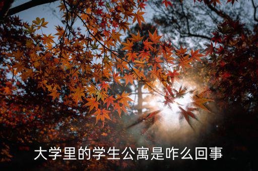 大學里的學生公寓是咋么回事